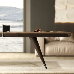 Tavolo da tennis in legno e pelle Blade