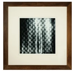 Trame Svelate Serigrafia #1