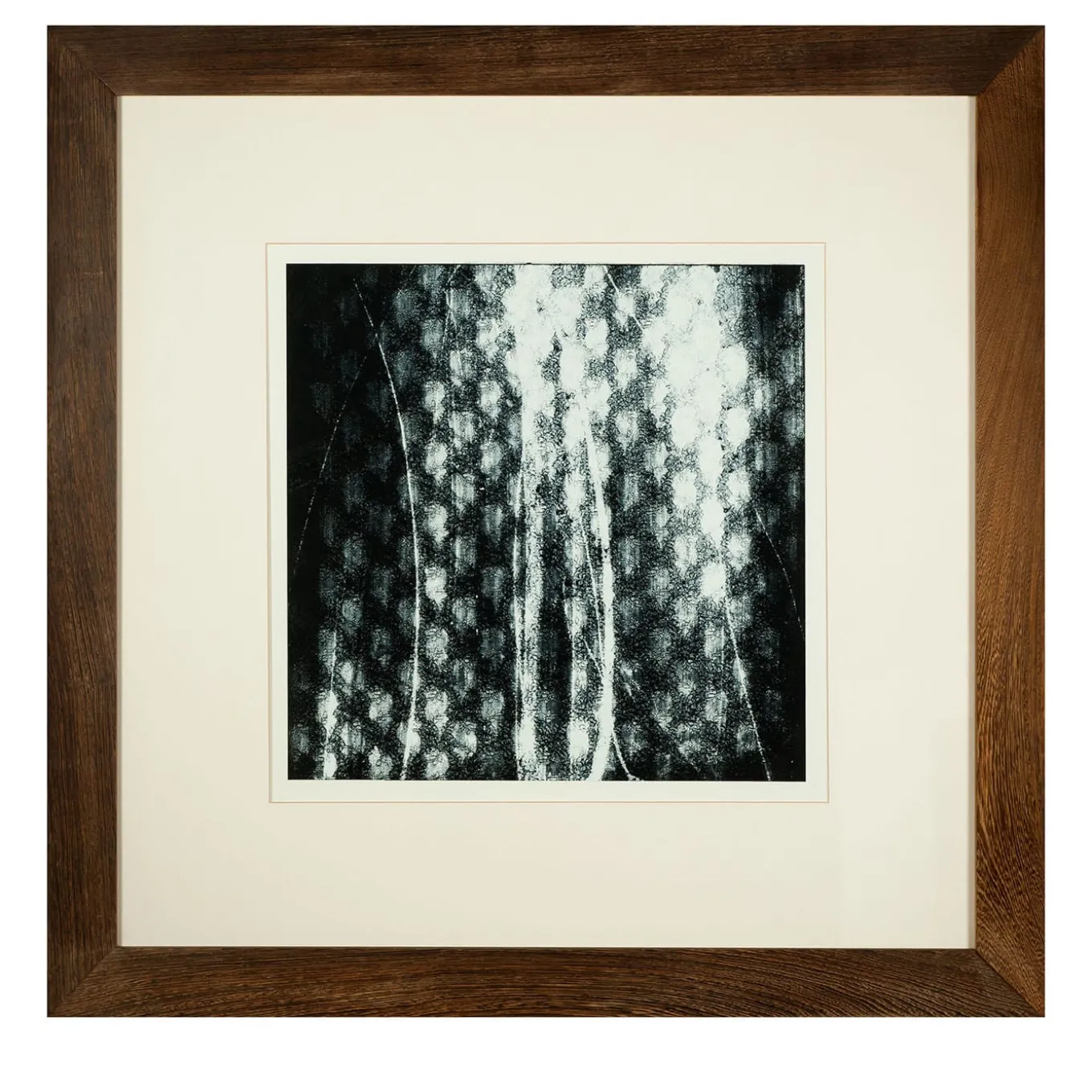 Trame Svelate Serigrafia #1