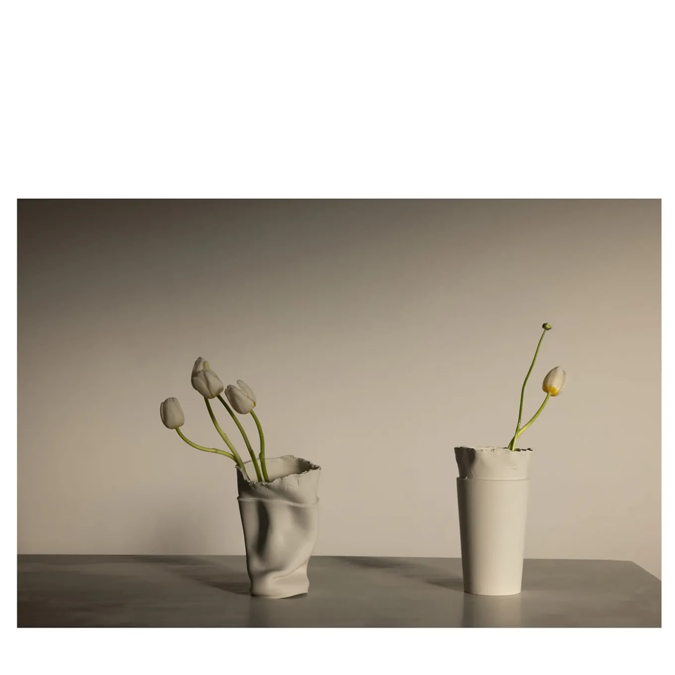 Tulipani a Vicenza Fotografia in edizione limitata