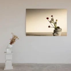 Tulipani e ranuncoli a Pove Fotografia in edizione limitata