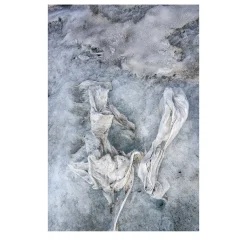 Ultimi paesaggi 10/10 Fotografia