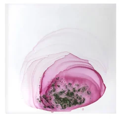 UN.limited Pittura #2