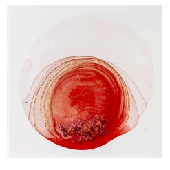 UN.limited Pittura #4