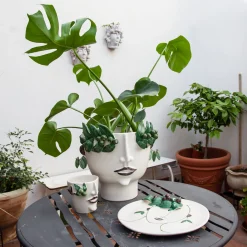 Vaso con testa di venditore di olio Oliva