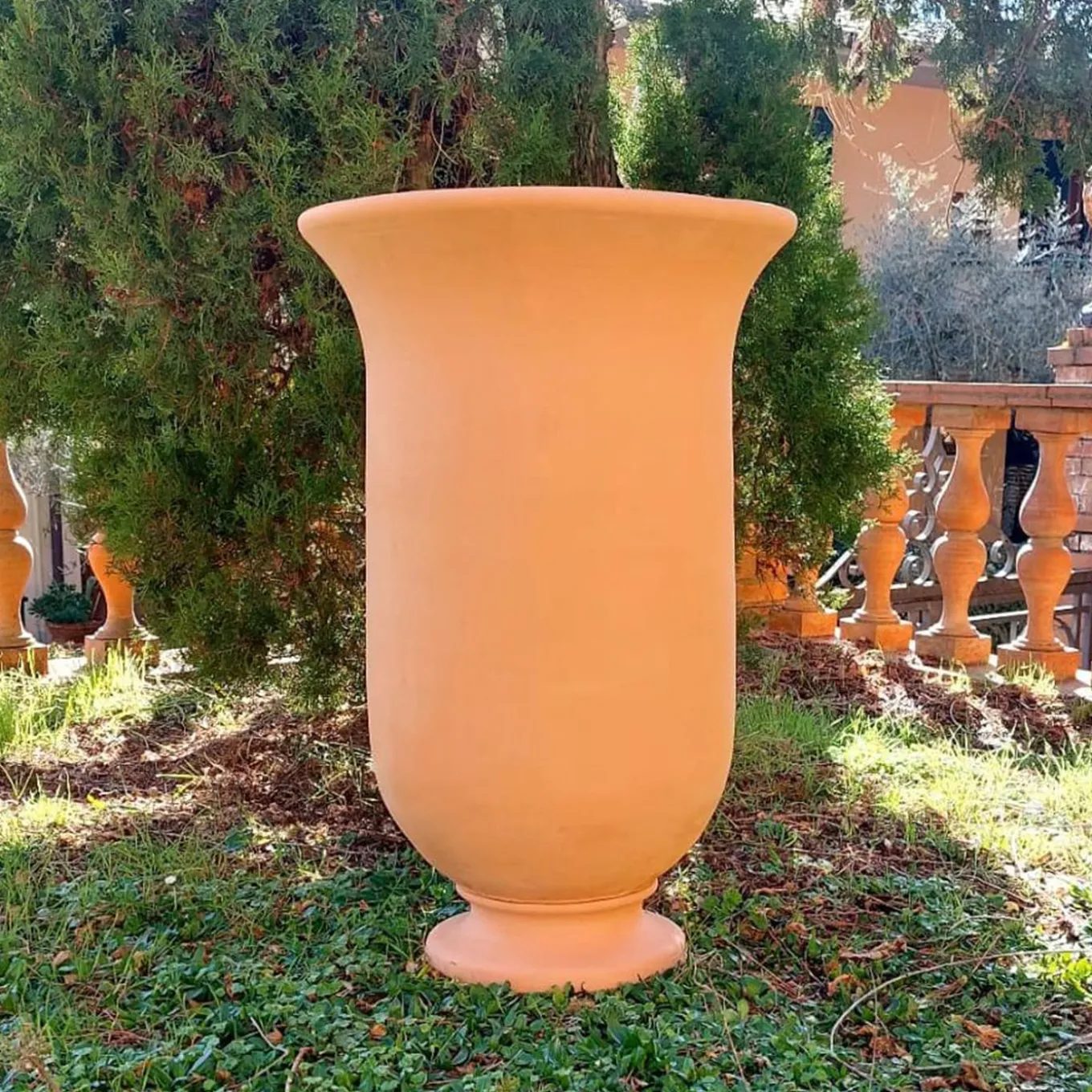 Vaso di campanula
