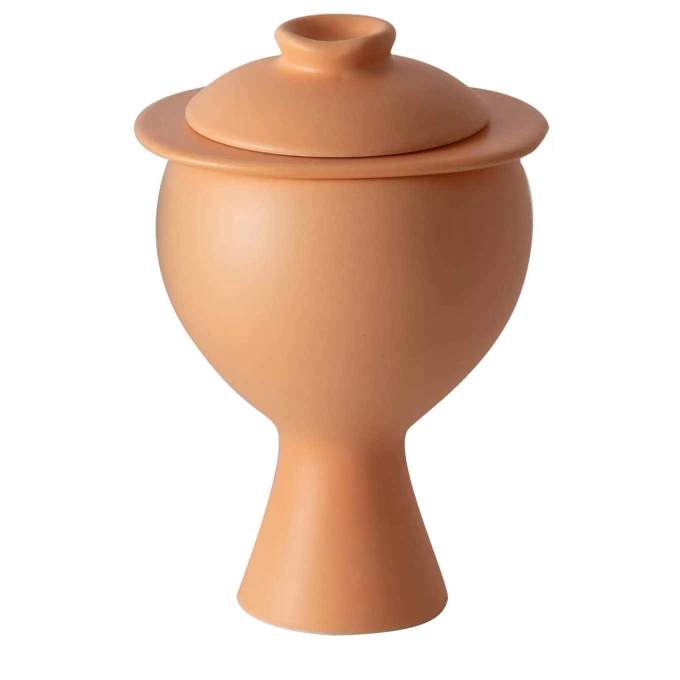 Vaso di erbe arancione Graal