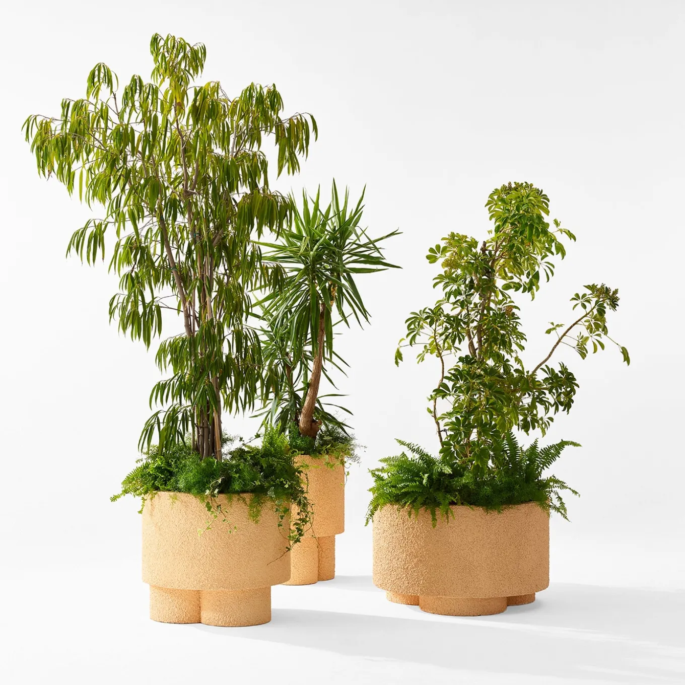 Vaso Erasmo di Patricia Urquiola