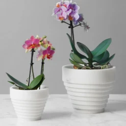 Vaso Guggenheim White Michelangelo di Michele Chiossi