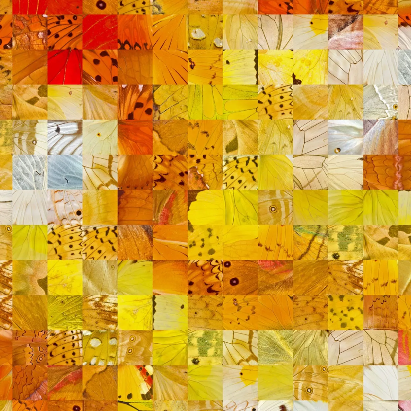 Venere Puzzling Pop Print Serie 2022