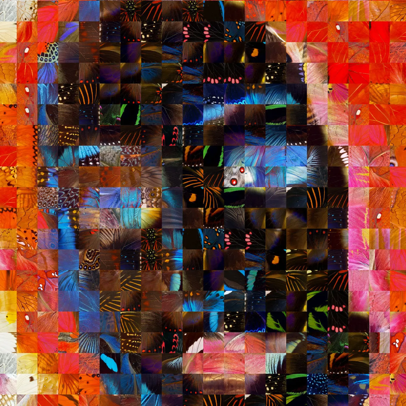 Venere Puzzling Pop Print Serie 2022