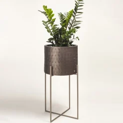 Vitis Nexum Cachepot Mediceo Marrone Medio